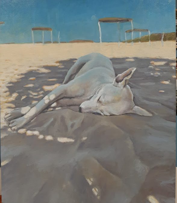 Hond op ’t strand